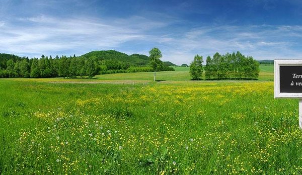 Conmment réussir son projet d'acheter un terrain ?